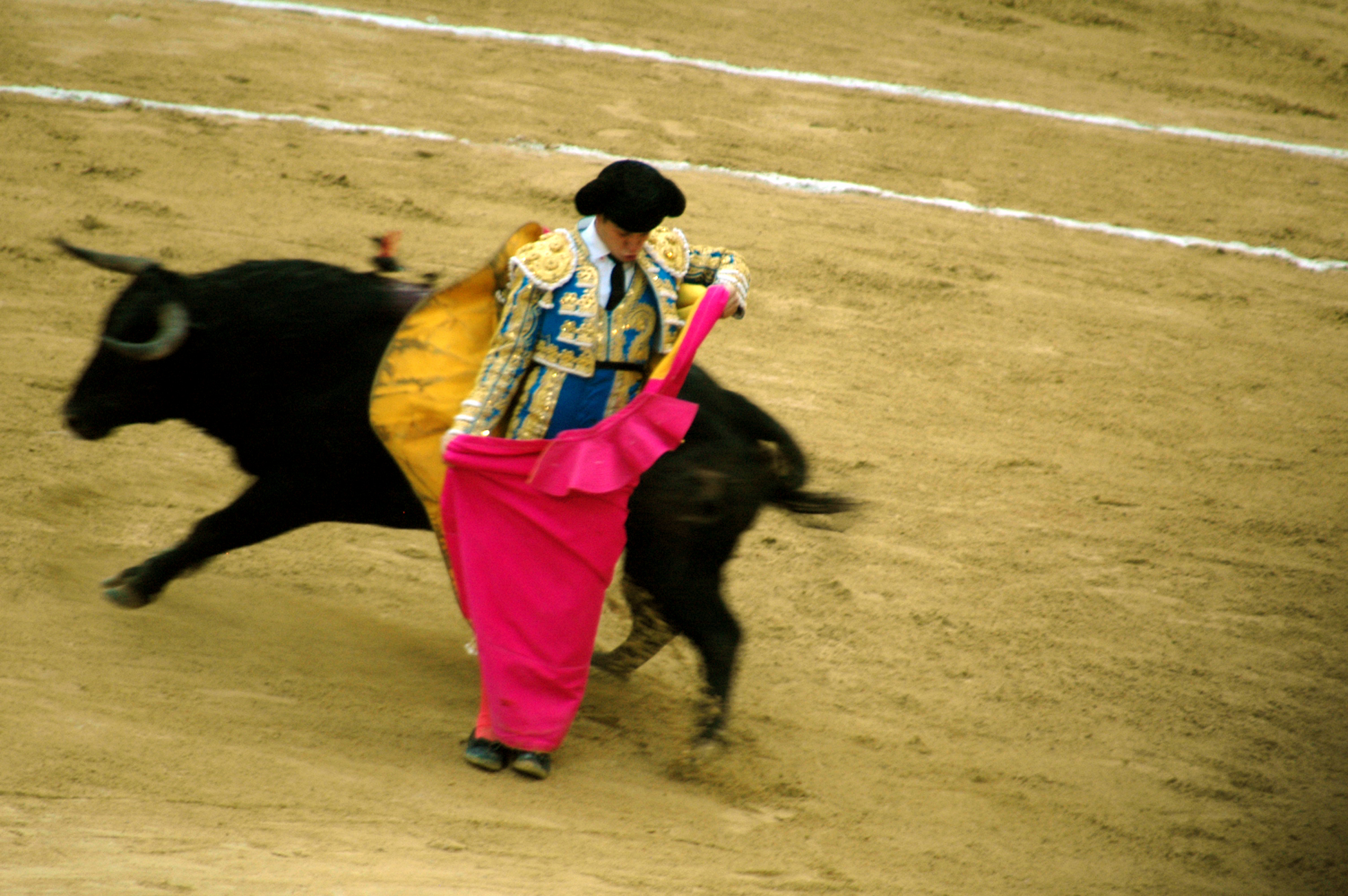 toro11