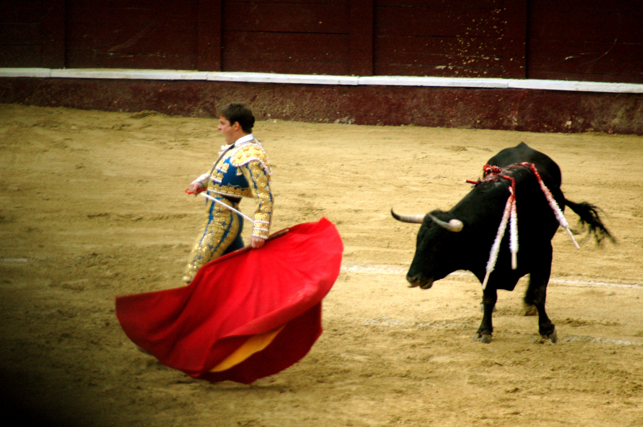 toro34