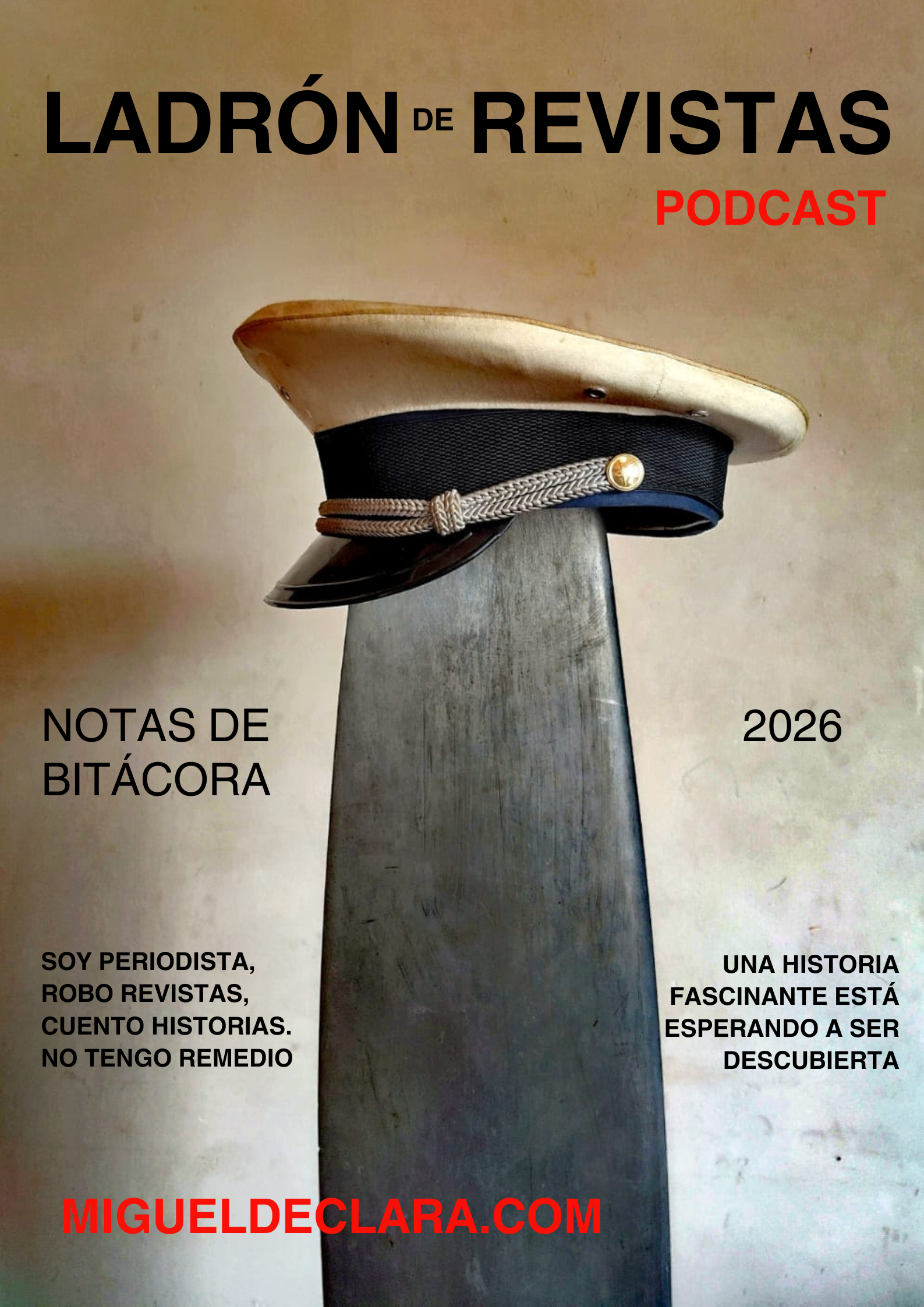 ladrón revistas(2)